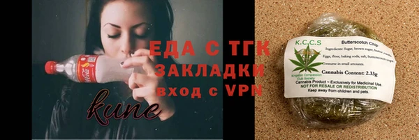 шишки Белокуриха