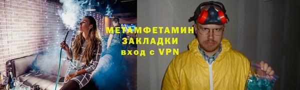 шишки Белокуриха