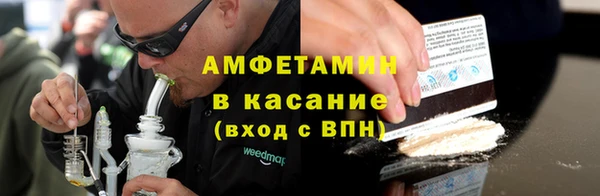 шишки Белокуриха