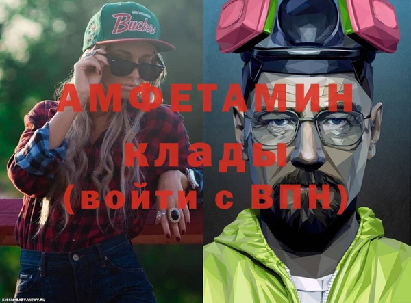 шишки Белокуриха