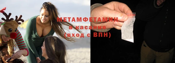 шишки Белокуриха