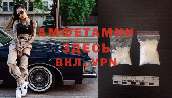 шишки Белокуриха