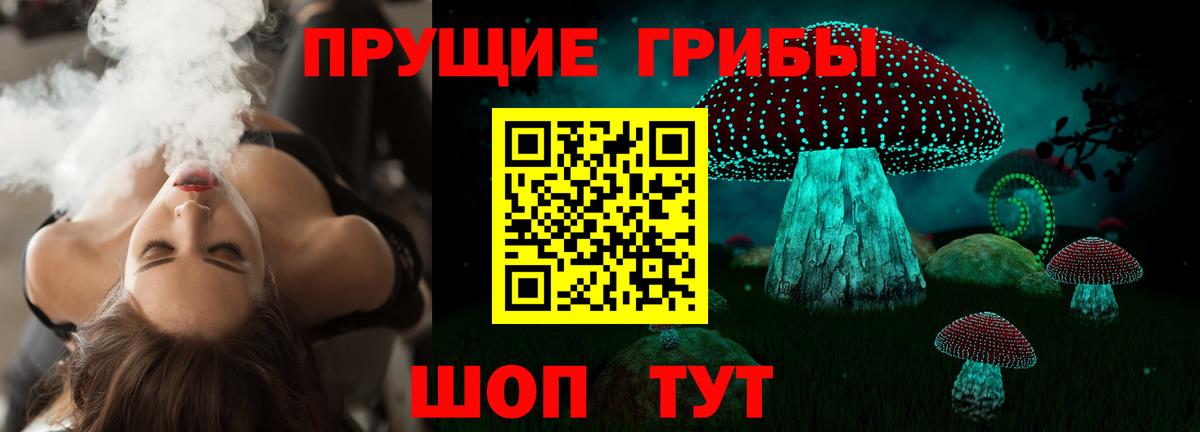Богородск  Псилоцибиновые грибы мухоморы  Вход с VPN 