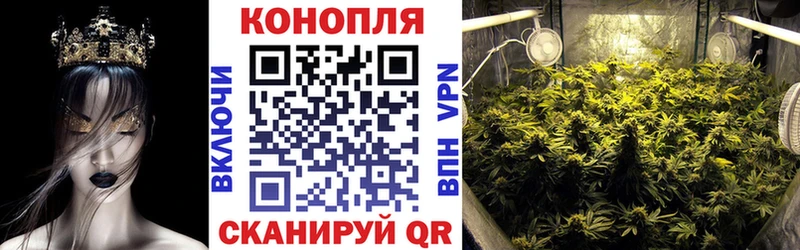 Конопля SATIVA & INDICA  купить наркотик  Богородск 